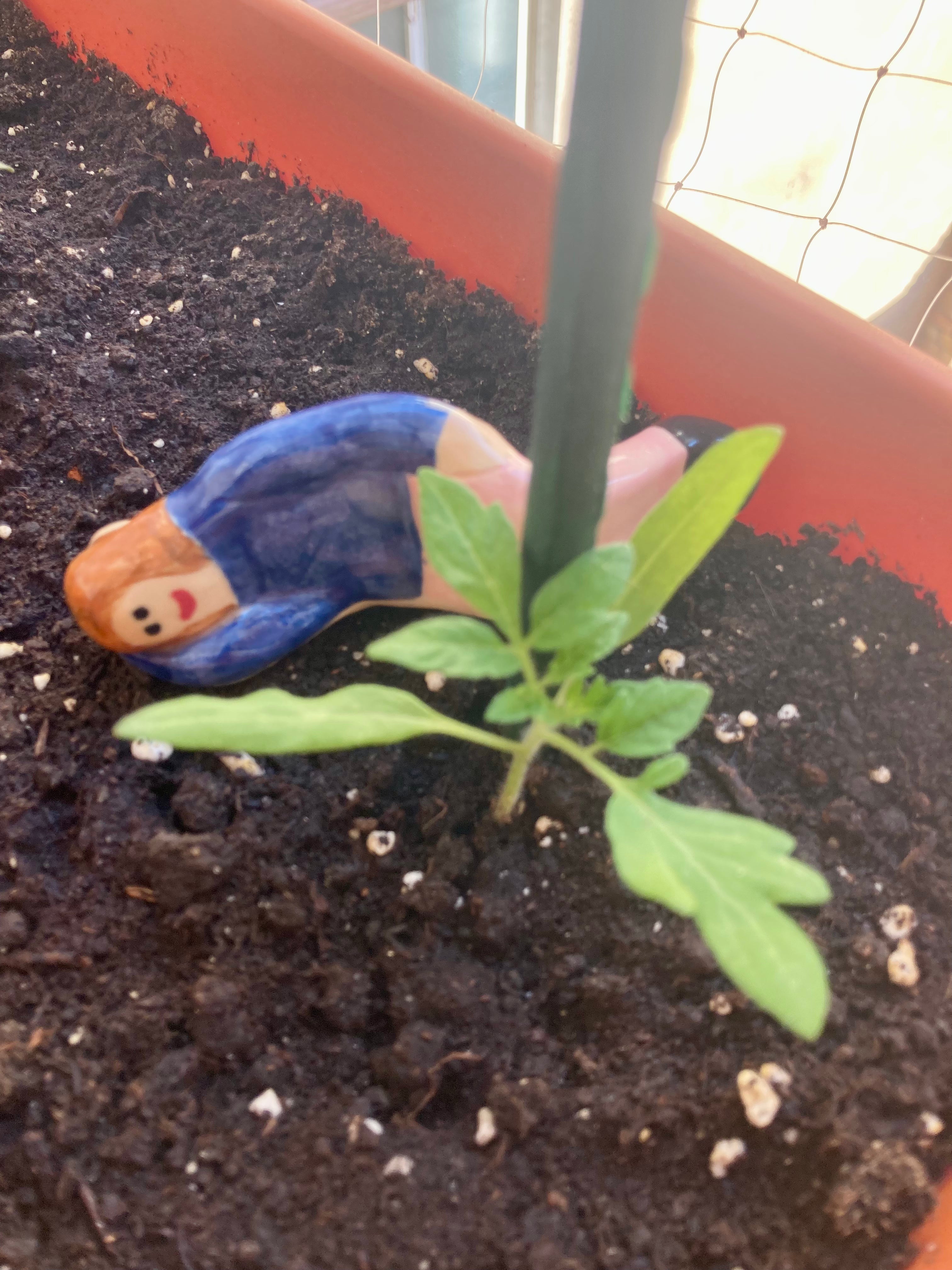 Azurine – Veilleur de plantes en grès