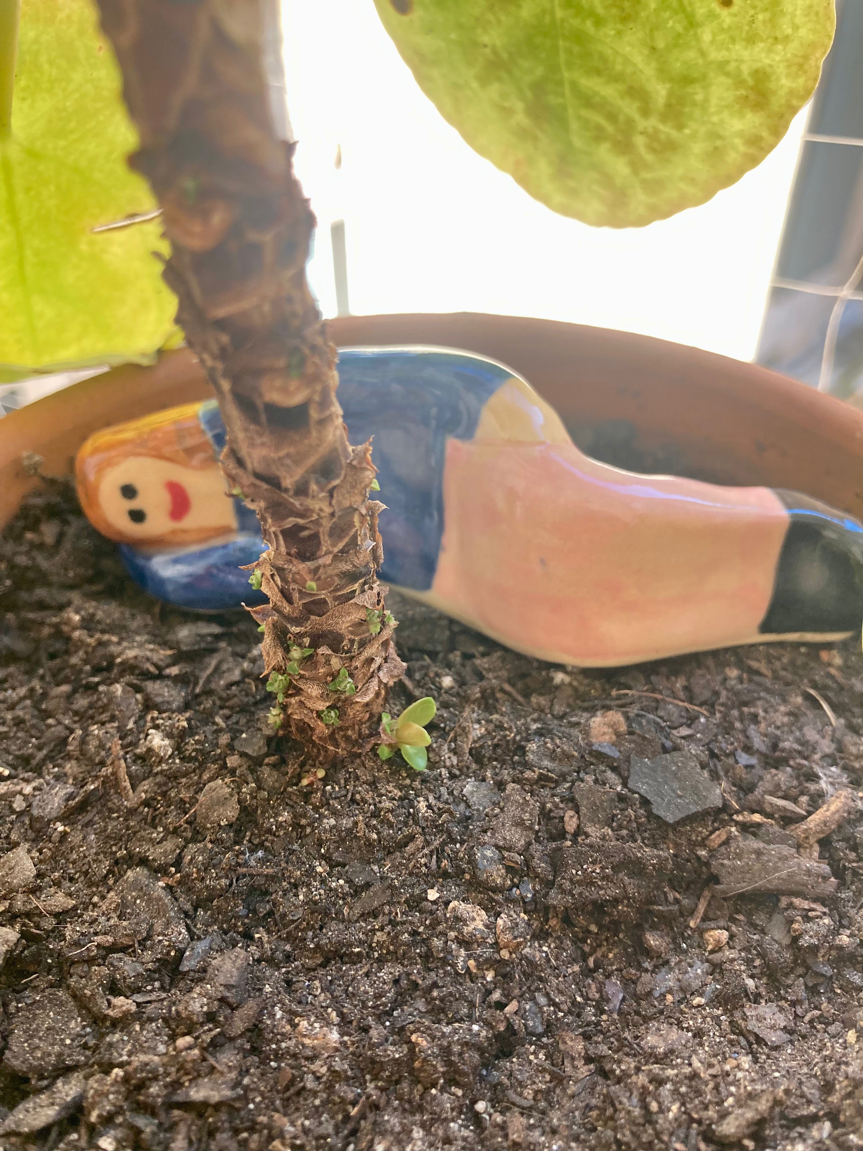 Azurine – Veilleur de plantes en grès