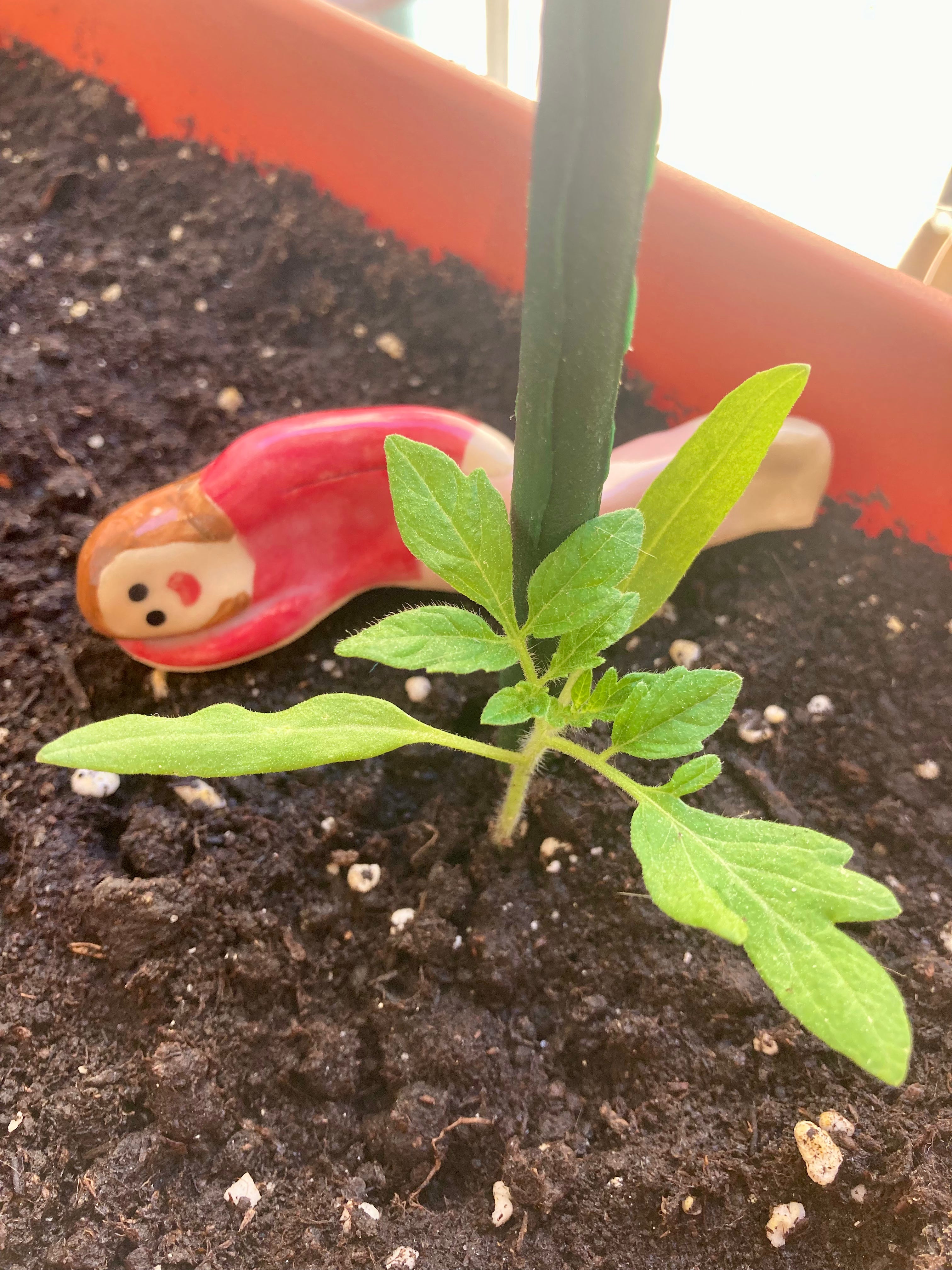 Carmella – Veilleur de plantes en grès