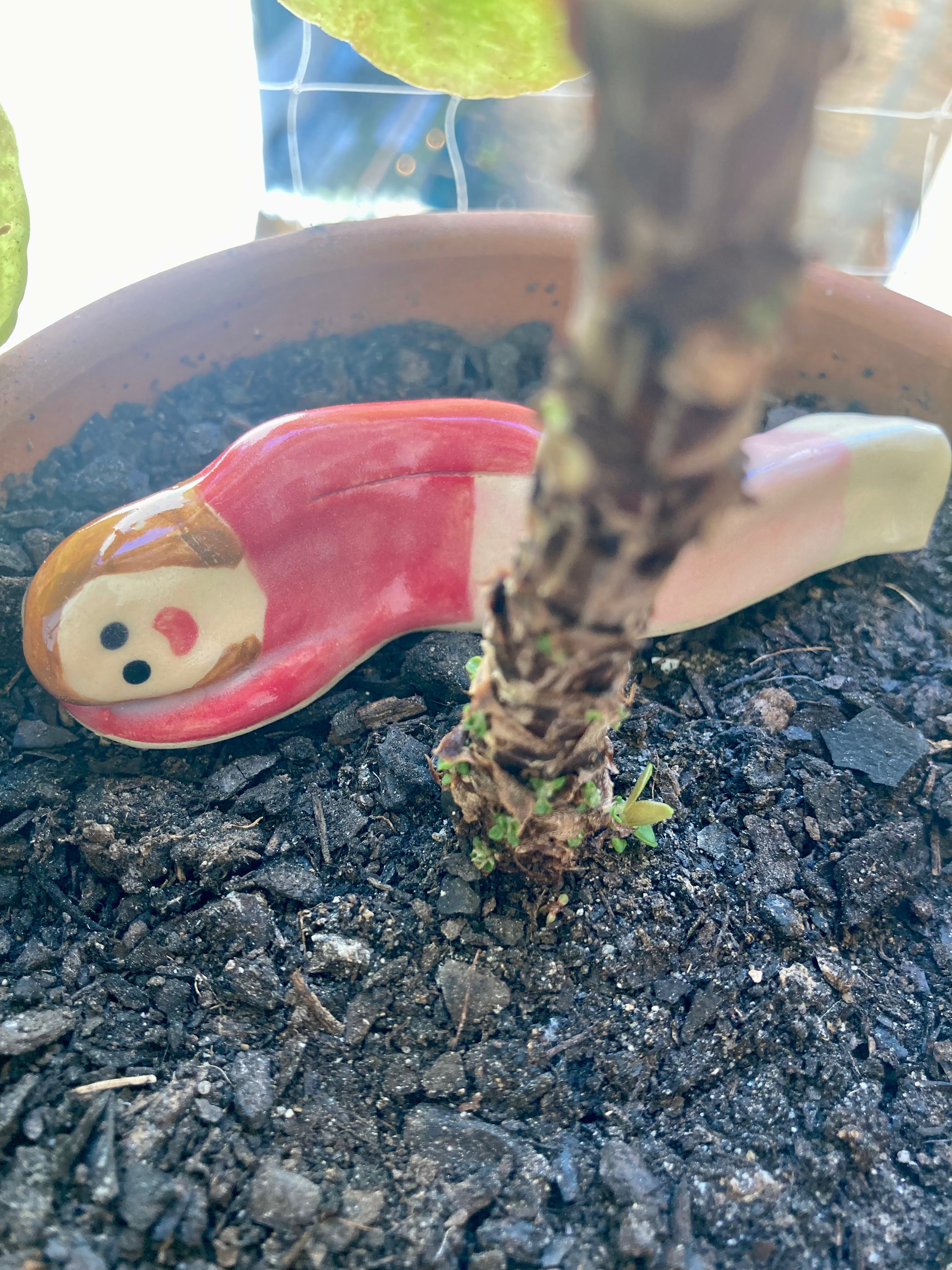 Carmella – Veilleur de plantes en grès