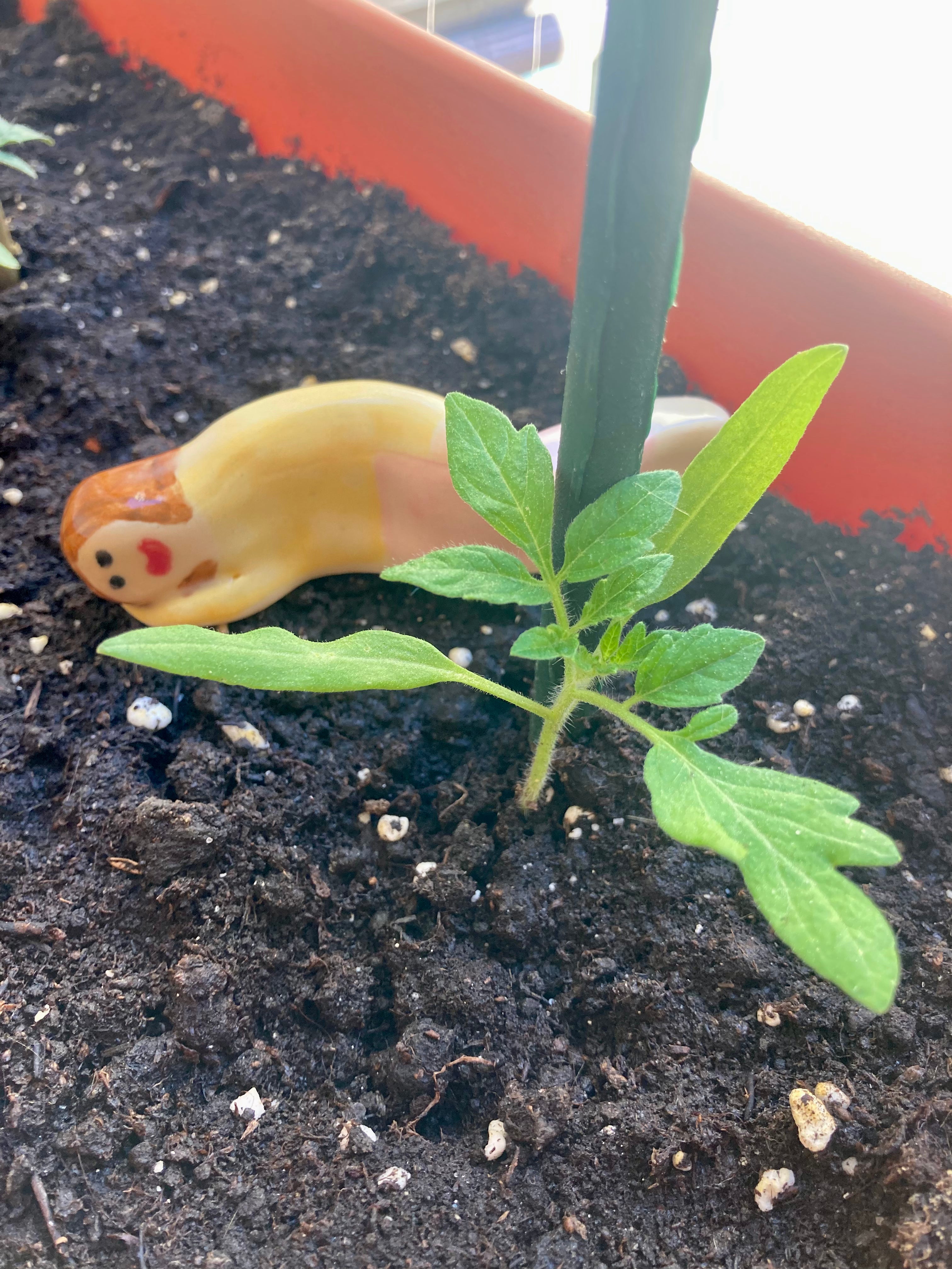 Florisole – Veilleur de plantes en grès