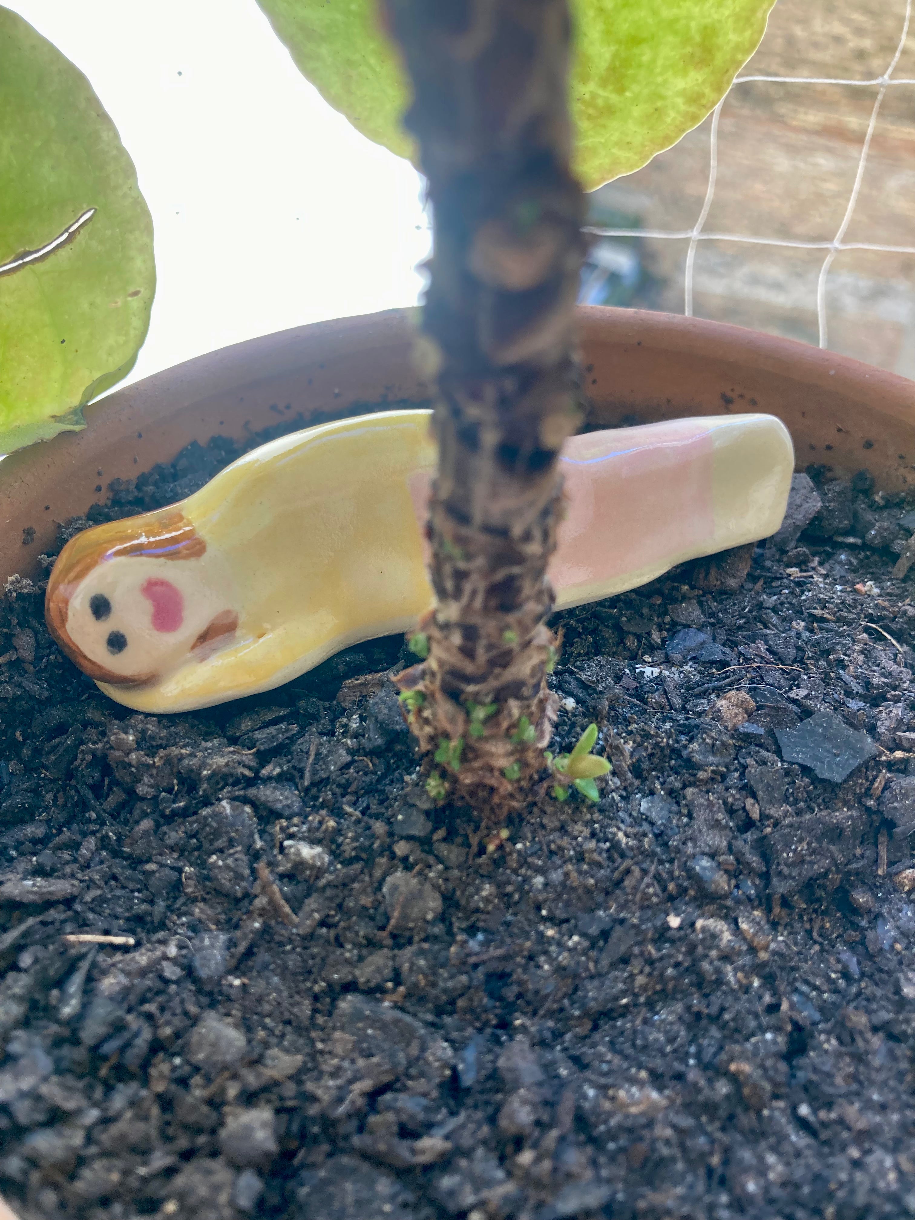 Florisole – Veilleur de plantes en grès