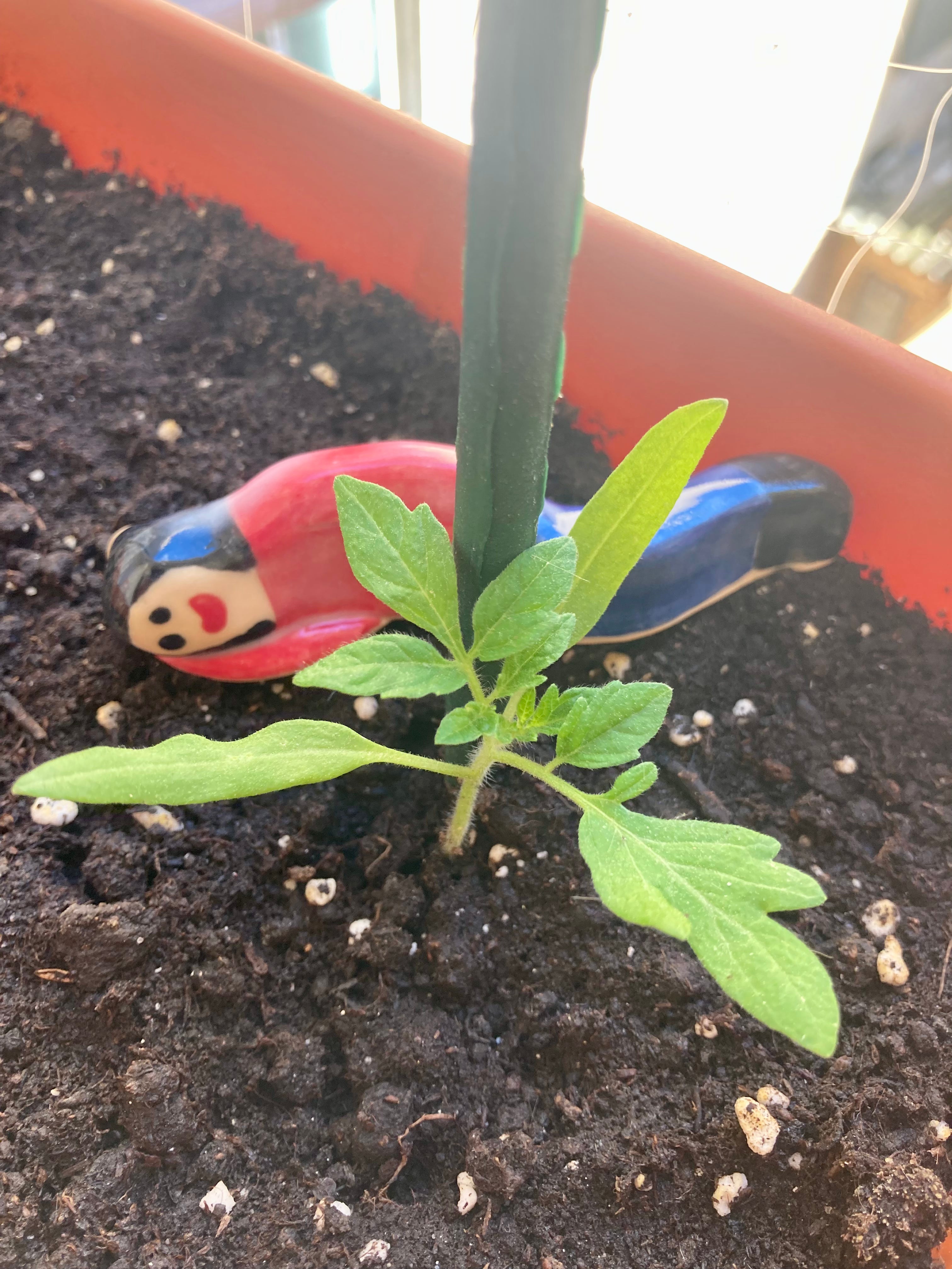 Ignis – Veilleur de plantes en grès