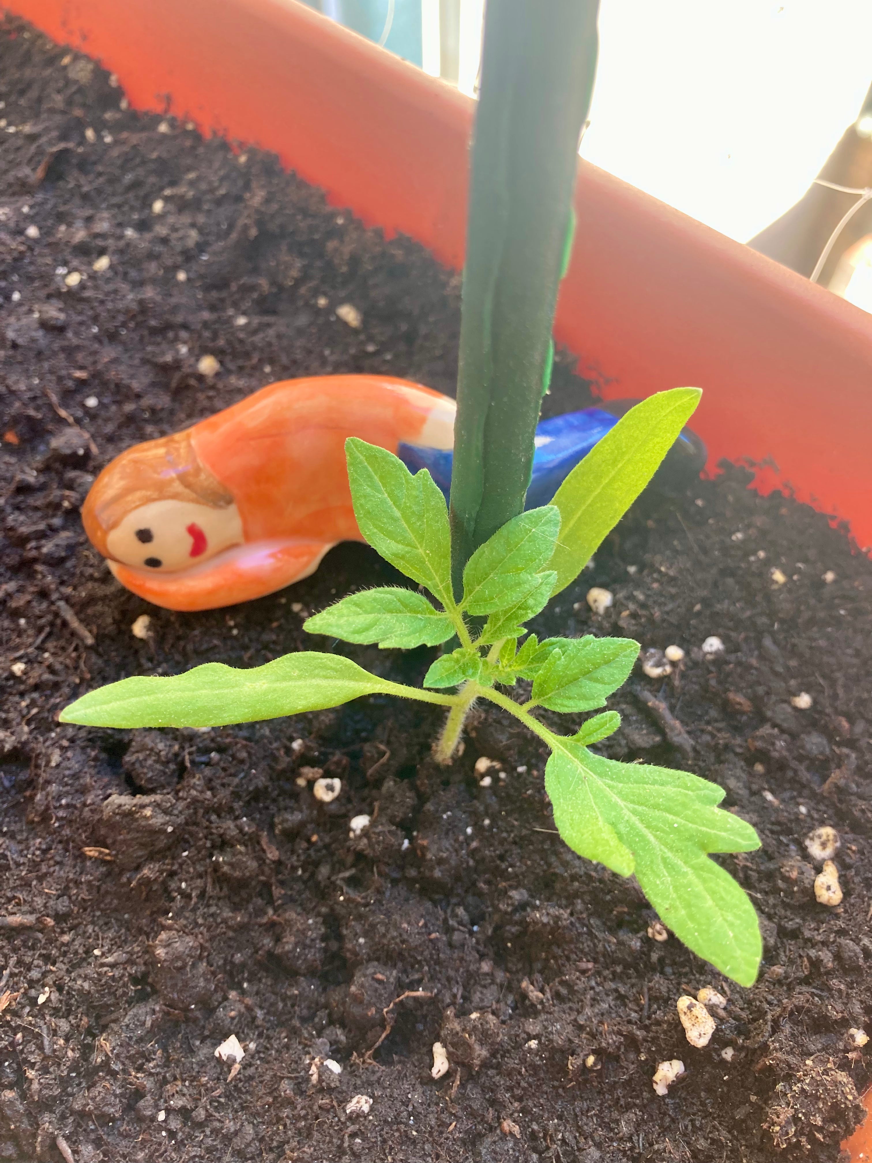 Solaris – Veilleur de plantes en grès