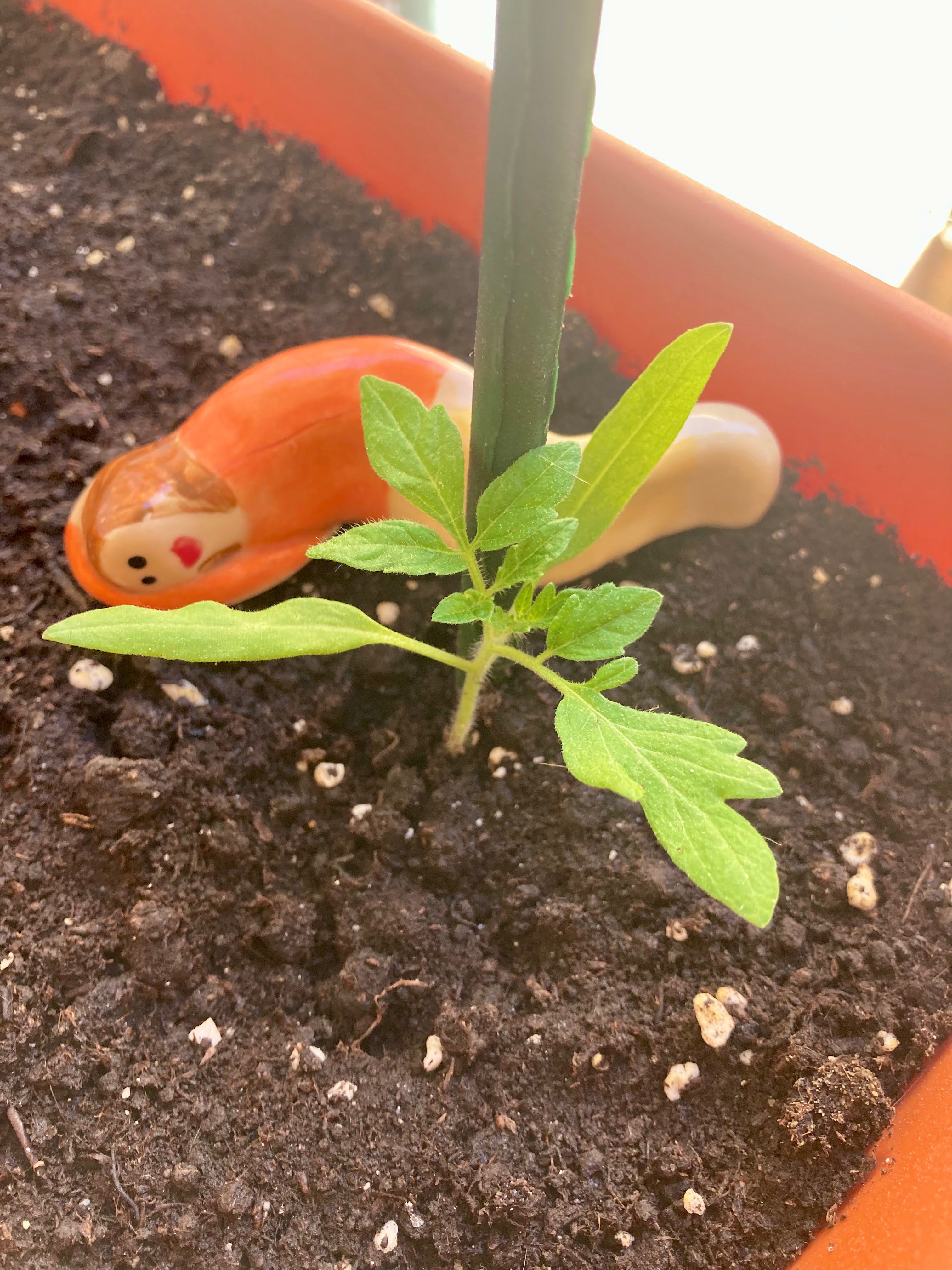 Zestia – Veilleur de plantes en grès