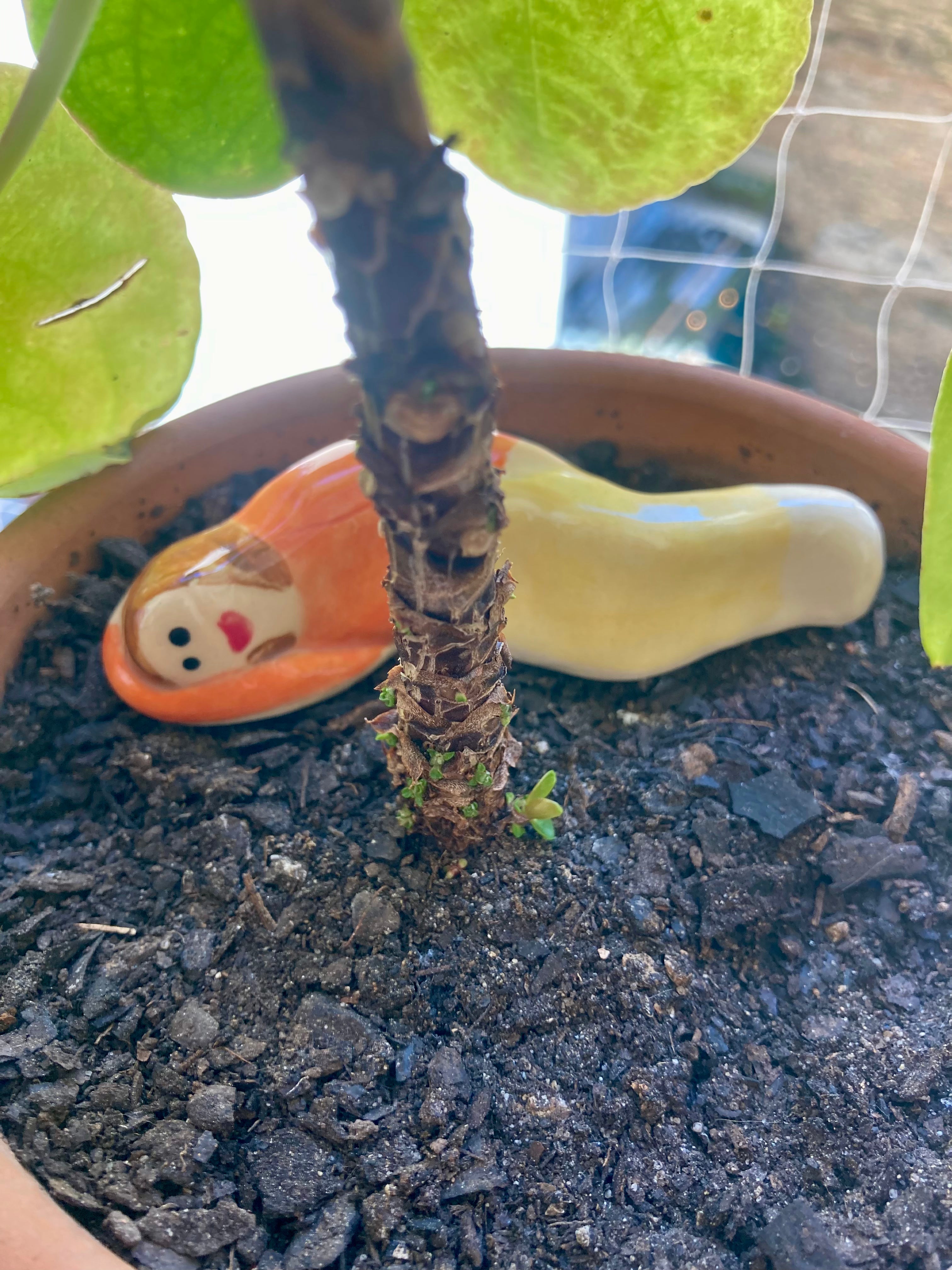 Zestia – Veilleur de plantes en grès